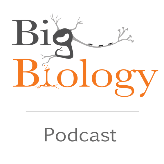 Big Biology podcast cover